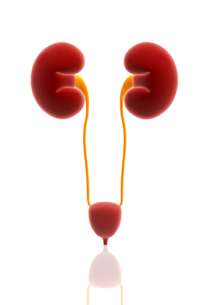 What is Urinary Tuberculosis?