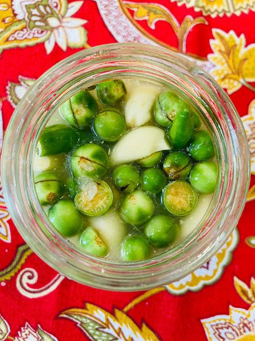 Turkey Berry Garlic Pickle