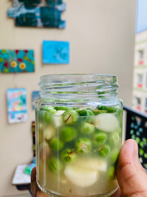 Turkey Berry Garlic Pickle