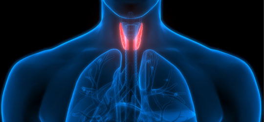 Best Endocrinology Hospital in Chennai and Trichy