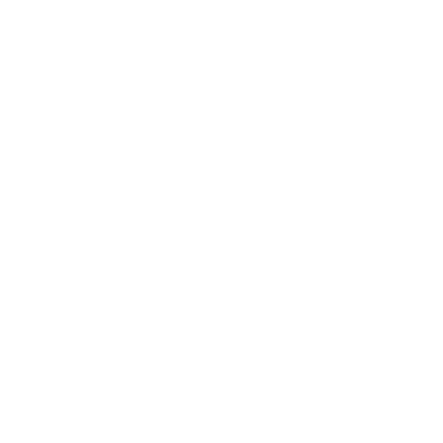 spine images
