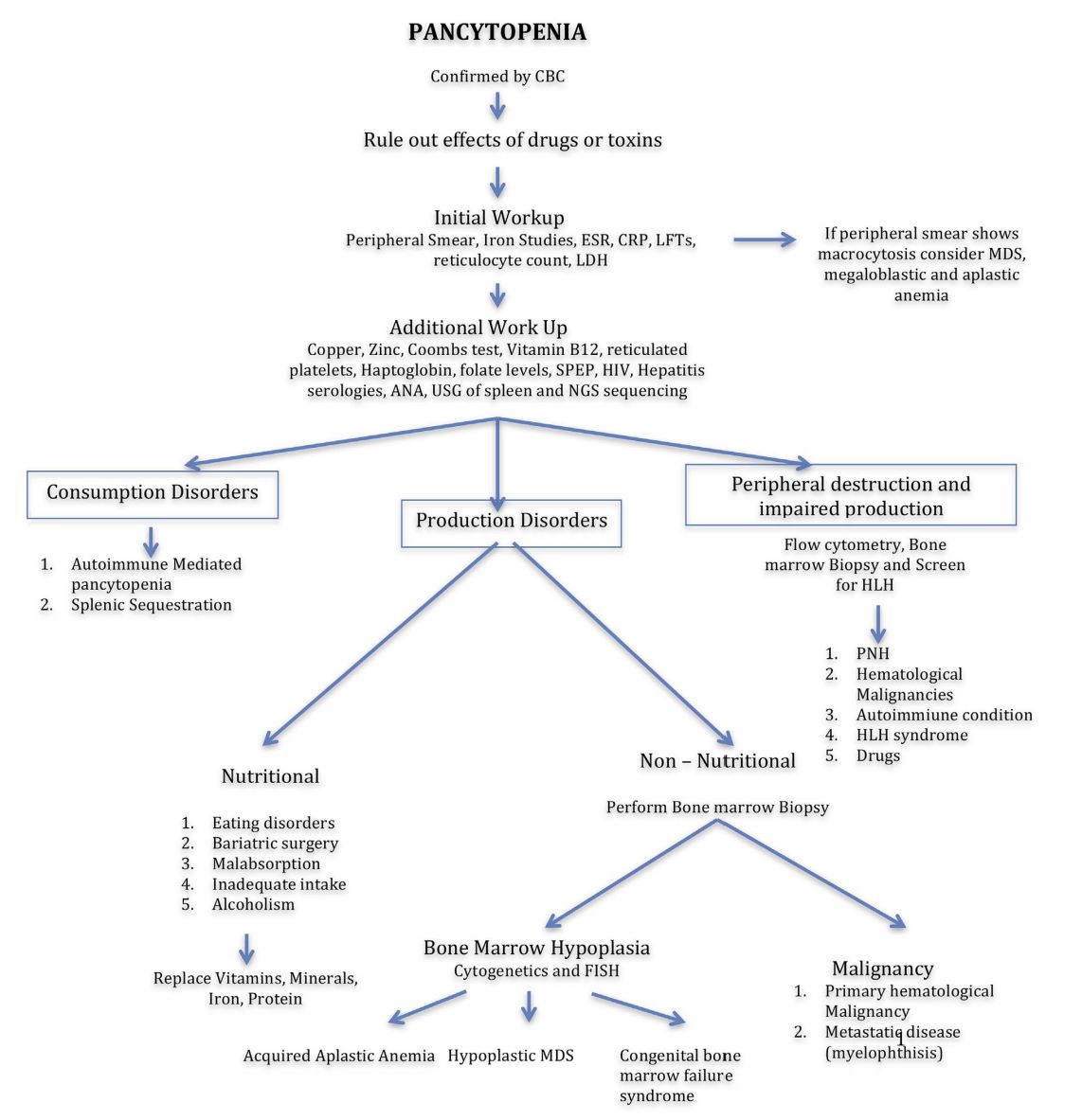 flowchart2023-04-0105:44:45am