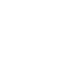 Internationally Trained Experts