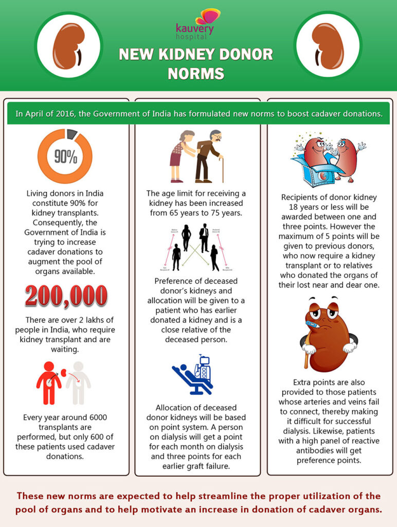 New Kidney Donor Norms