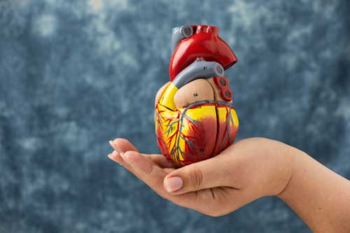 Organ Transplantation