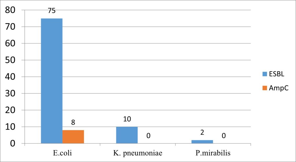 Evaluation of cefepime-enmetazobactam against ESBL and AmpC β-lactamase ...