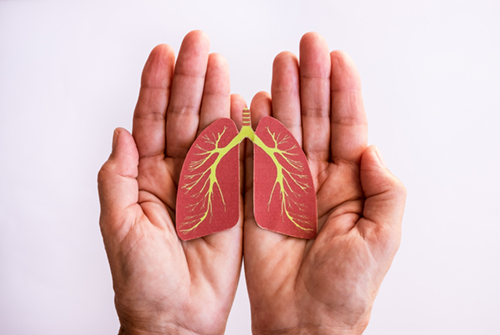 Lung Cancer Awareness Month – Let’s Talk About the Most Preventable Cancer