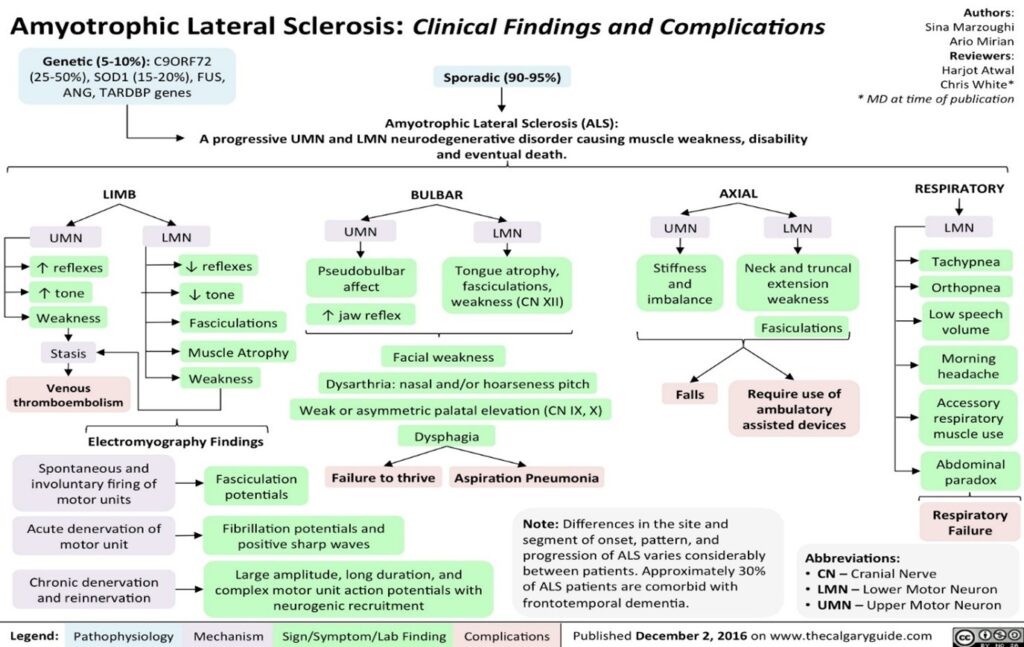 Amyotrophic Lateral Sclerosis (ALS): A case report - Kauvery Hospital