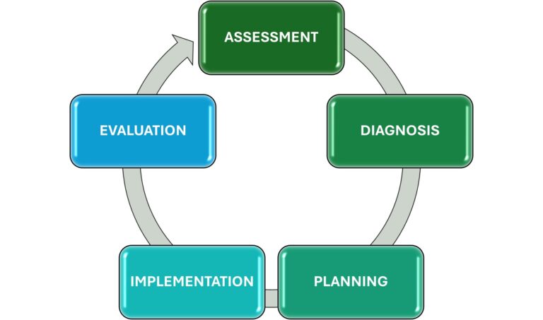 The Gateway to Quality Care: Evidence-Based Initial Patient Assessment ...