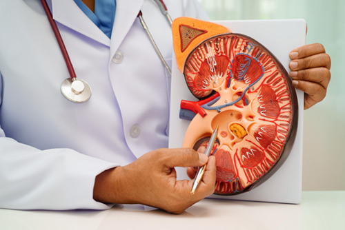 Desidustat in Chronic Kidney Disease